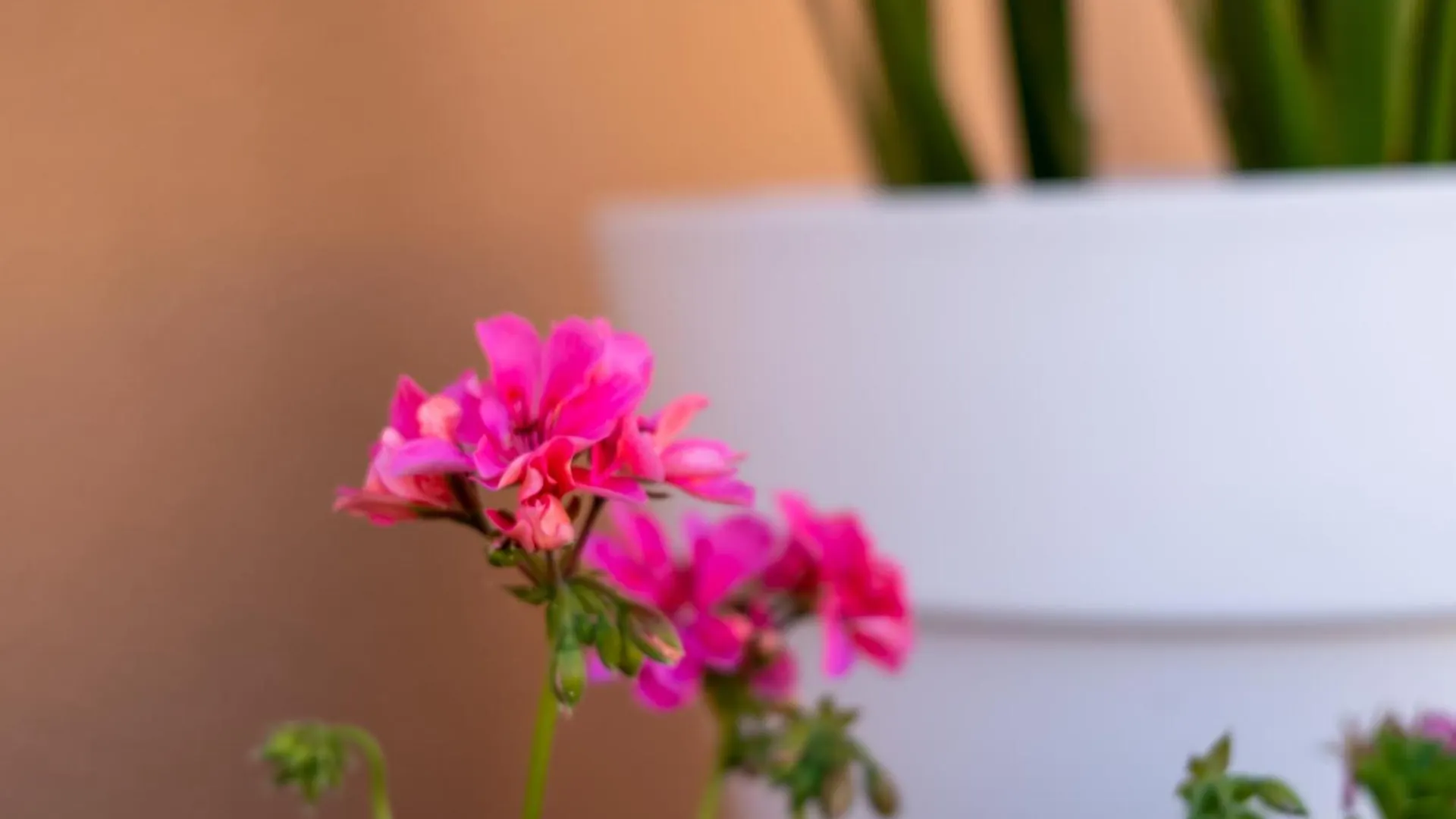 Villa Sal- Pool & Beach Escape Guia